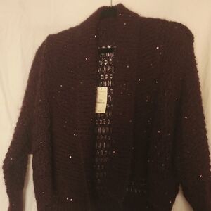 Express Burgundy Sweater